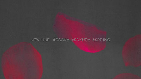 7OCEANS by ARTS D｜Visual Design Studio