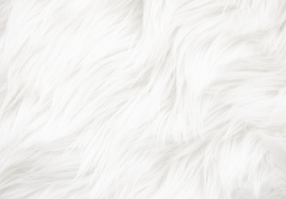 DearMe_Fur.jpeg