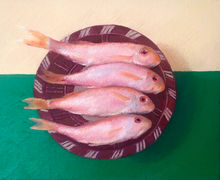 IMG_8262.jpeg