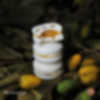 Macaron Cajá