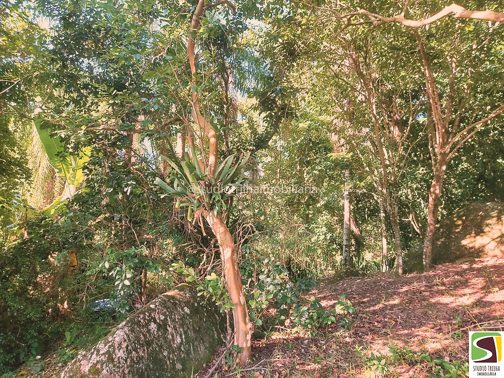 Miniatura: Vendo Terreno Vista para o Mar Cabaraú Ilhabela