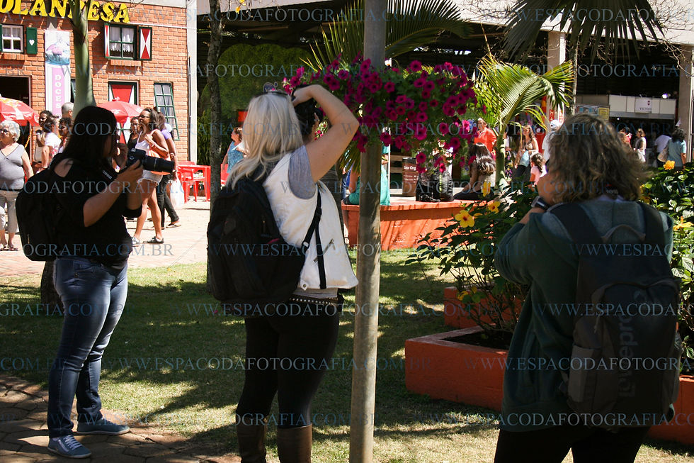 Espaço da Fotografia