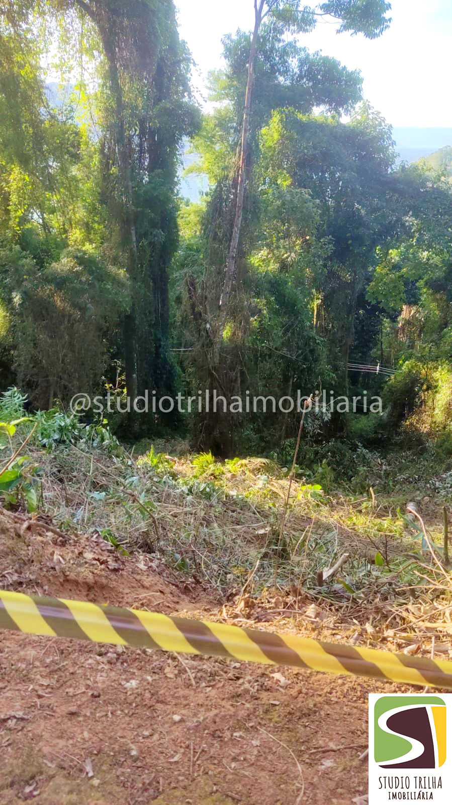 Vendo Terreno Feiticeira Ilhabela Vista ao Mar Escritura Definitiva
