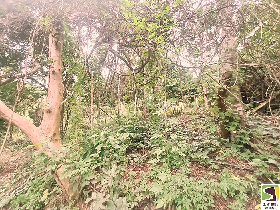 Miniatura: Vendo Terreno Furnas Ilhabela Vista para o Mar