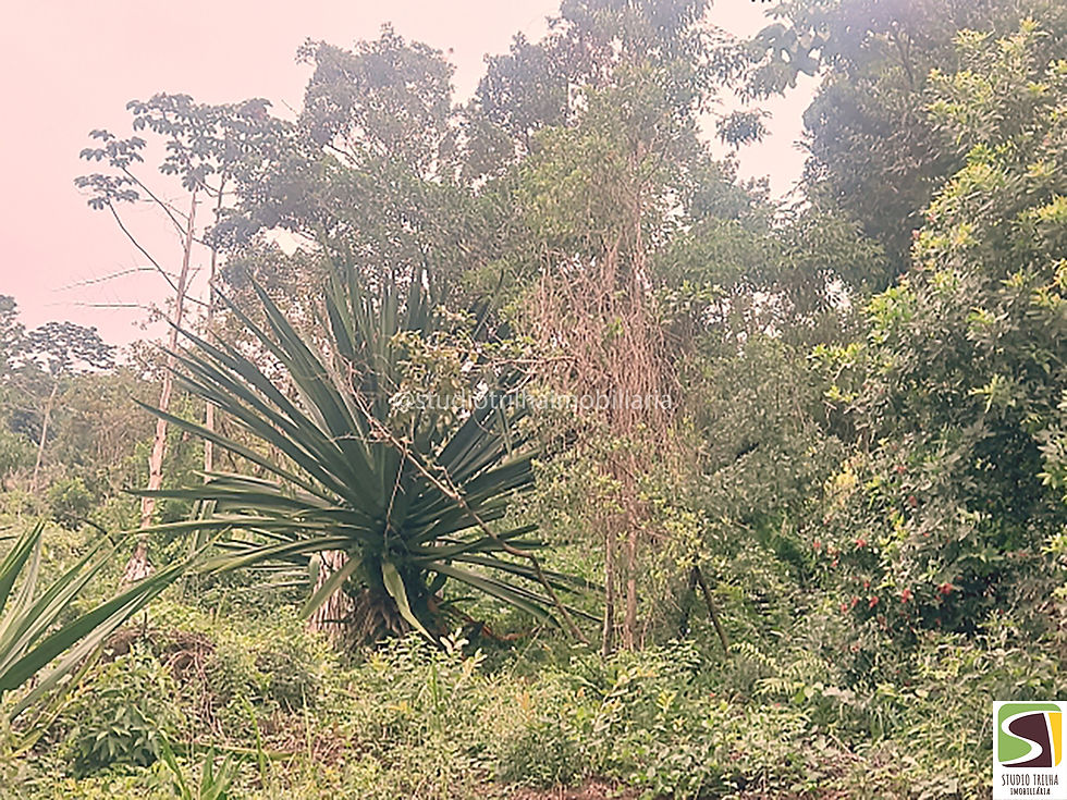 Miniatura: Vendo Terreno Furnas Ilhabela Vista para o Mar