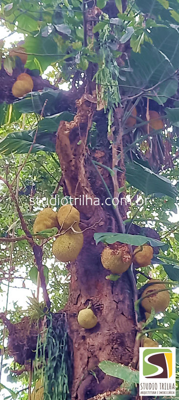 Lina casa com Escritura em Ilhabela
