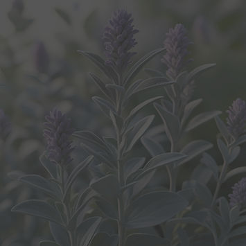 A realistic, high-resolution botanical i
