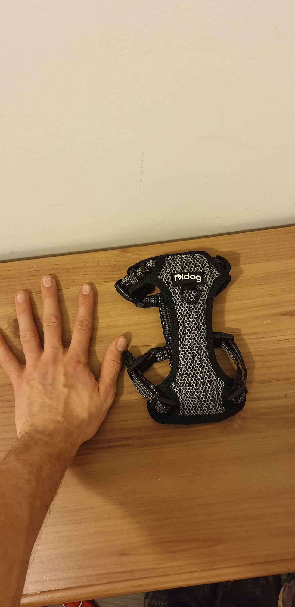 Thumbnail: Dog walking harness