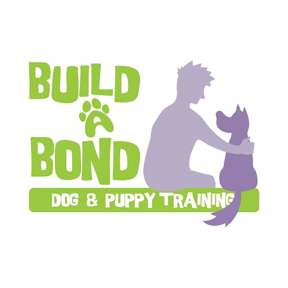 Dog Training Classes Nottingham Build A Bond Dog Training