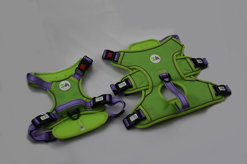 Thumbnail: Anti-Pull dog training harness - Build a Bond dog training and walking