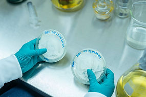 Melones del Sol_LAB_19.JPG