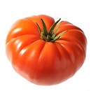marmande1.png