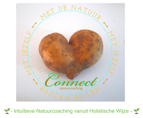 aardappel natuurcoaching connect intuitieve natuurcoaching vanuit holistische wijze