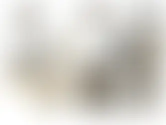 Jim’s Daily Rant. Is This The Business Model Of The Democrats?