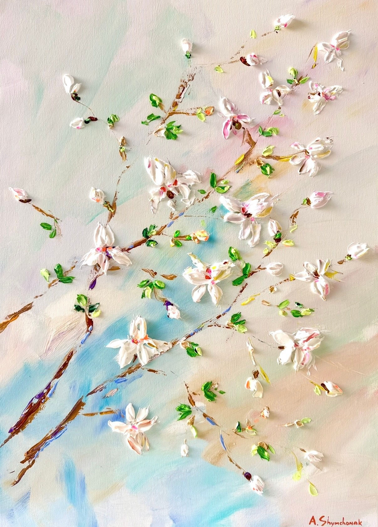 Tender blossoms of magnolia