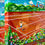 Thumbnail: Tennis dreams by the lake Como, Italy