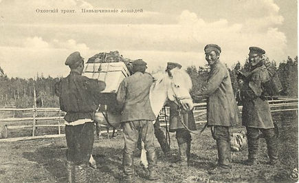 normal_otkryitka_51.jpg