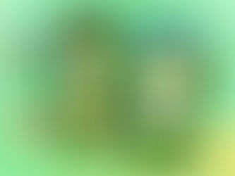 Master Investment Fear: Engage with FinQuest Learning App