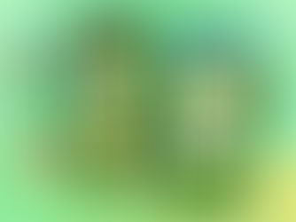 Master Investment Fear: Engage with FinQuest Learning App