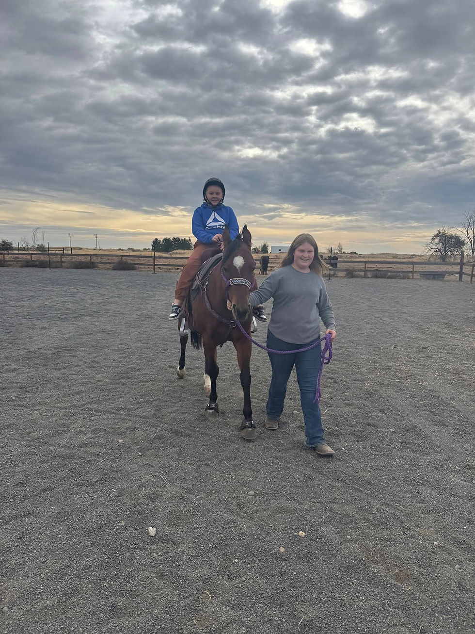 Autism Families Horse Riding Day