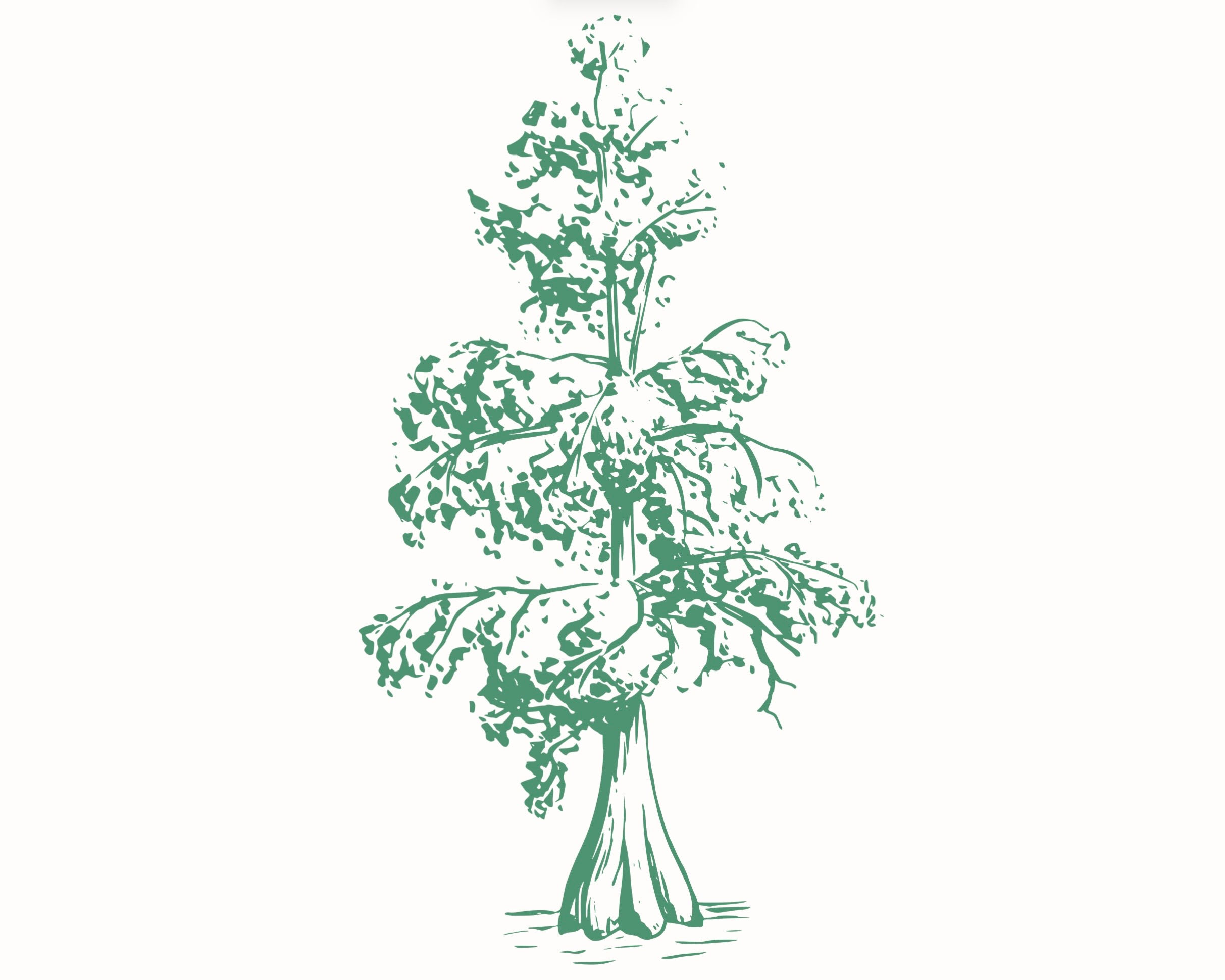 Cypress Annual Membership