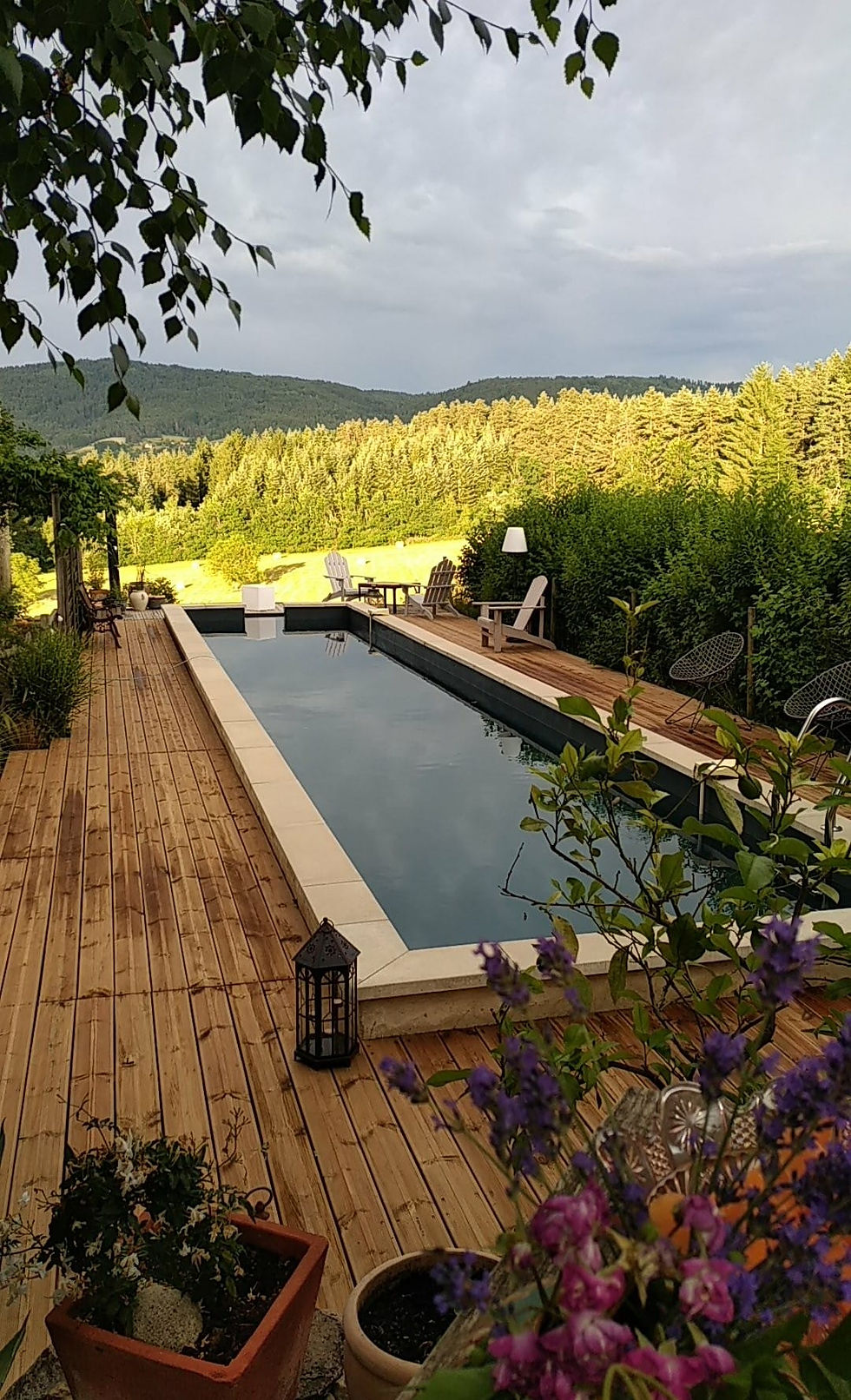 Le bassin de nage
