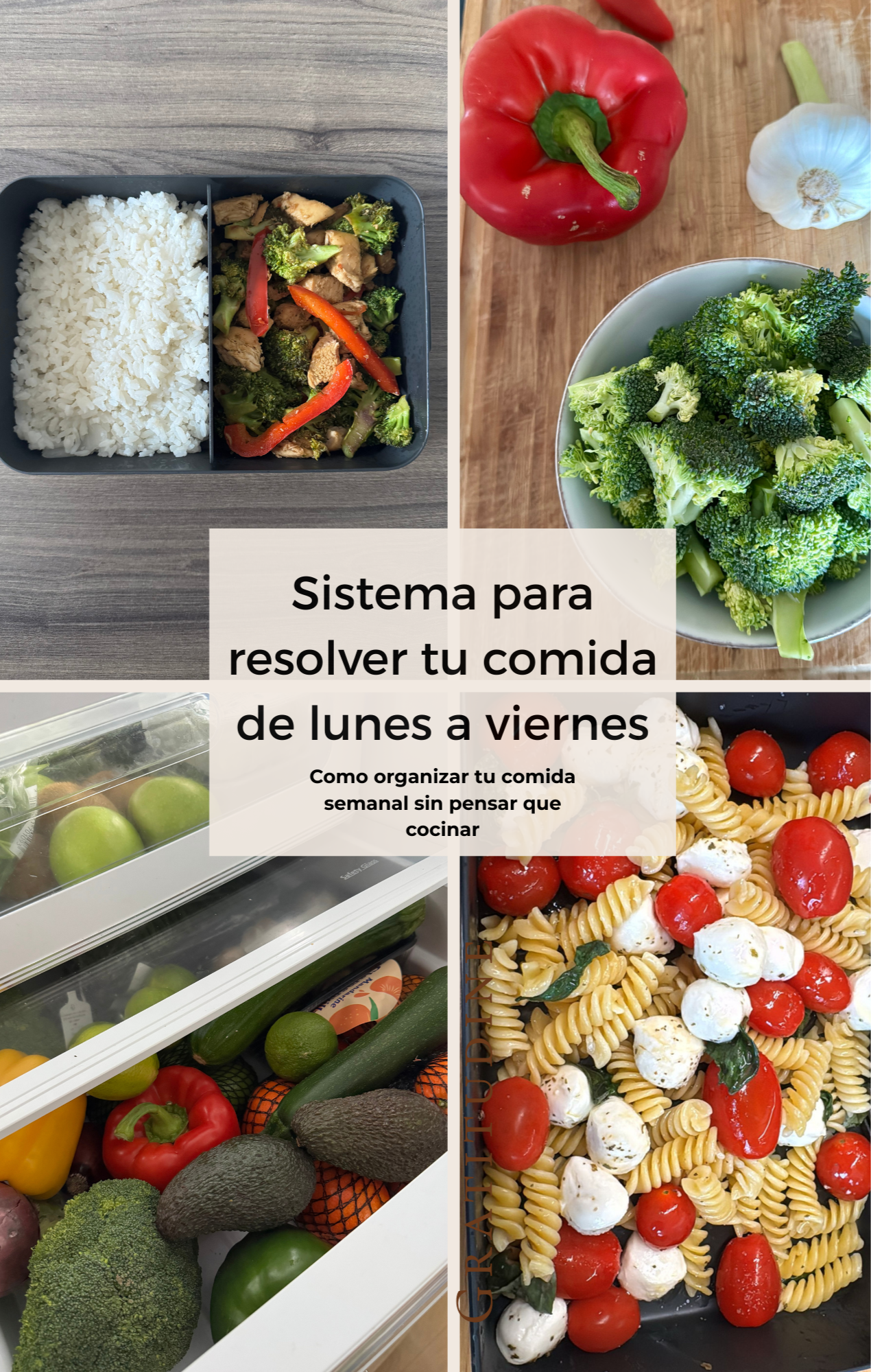 Weekly lunchbox plan for the office