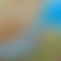 Strait of Hormuz Closure: U.S. Fertilizer Supply Exposure and Farm-Level Implications