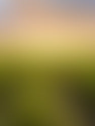 Rising Costs, Falling Prices: Regional Disparities Deepen Farm Financial Stress