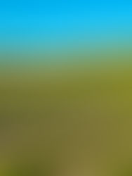 2025 Farm Bridge Assistance Program Payment Guesstimate Rates