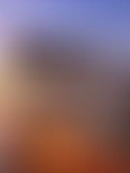 One-Year Suspension of Section 301 Port Fees Eases Shipping Cost Pressures