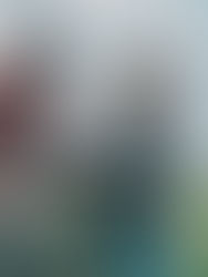 Crop Insurance Premium and Interest Deferrals in a Time of Rising Farm Costs