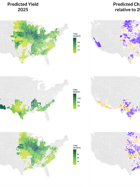 A Horse Race Comparison of County-Level Crop Yield Prediction Methods