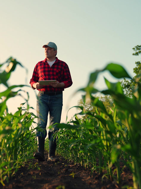 One Big Beautiful Boost in U.S. Agricultural Trade Promotion