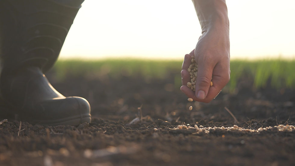 Early Signals for Supplemental Crop Insurance Adoption Under Partial OBBBA Implementation