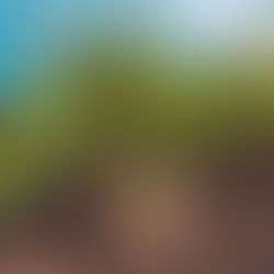 OBBB Delivers Historic Increase to Sugar Loan Rates