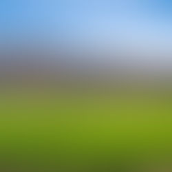 2018 Trade War, Mitigation Payments & California Agriculture 