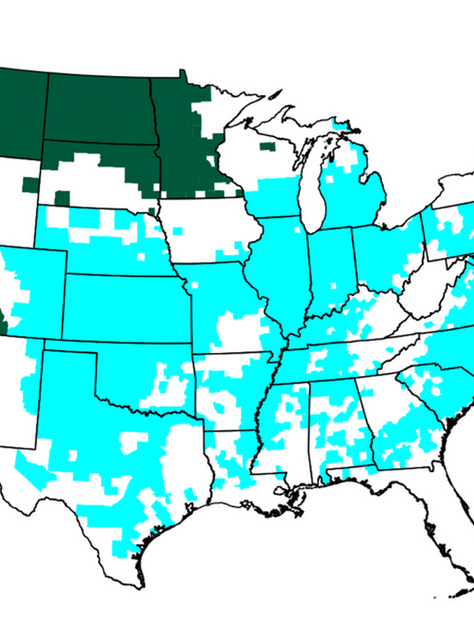 What Repeated Crop Insurance Premium Interest Deferrals Mean for Farmers