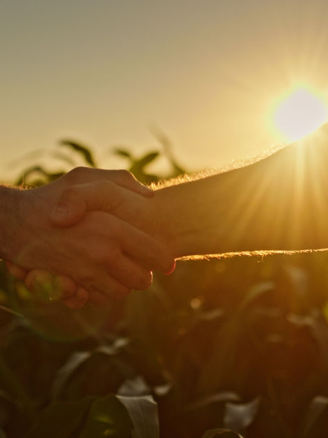 Evolution of U.S. Federal Crop-Insurance Plans
