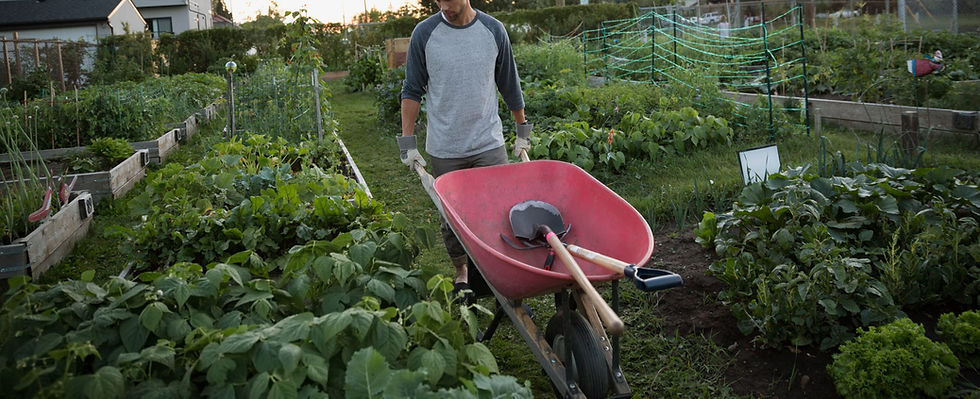 BRICOPRO BEAUREPAIRE SPECIALISTE JARDIN, outils de jardin, graines, traitements