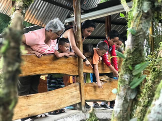 misahualli tena ecuador archidona ecuador lugares turisticos del oriente ecuatoriano oriente ecuatoriano turismo lugares turísticos de napo lugares turisticos del tena turismo en el oriente ecuatoriano platos típicos del oriente ecuatoriano sitios turísticos de napo laguna azul tena tena lugares turisticos lugares turísticos de la amazonia ecuatoriana turismo en la amazonia ecuatoriana misahualli ecuador tena turismo