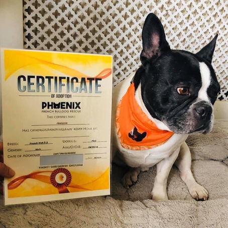 Phoenix Aston (Aston) - Feb 2014 to Nov 2022