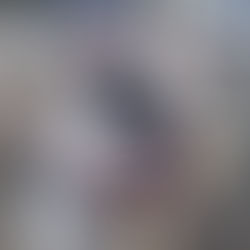 Phoenix Mouse (Spike) - Oct 2016 to Aug 2023