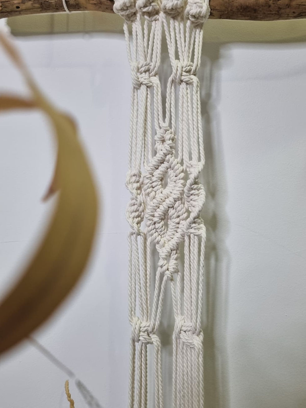 Miniatura: Colgador Graminea