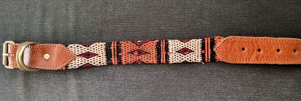 Miniatura: Correas para perro