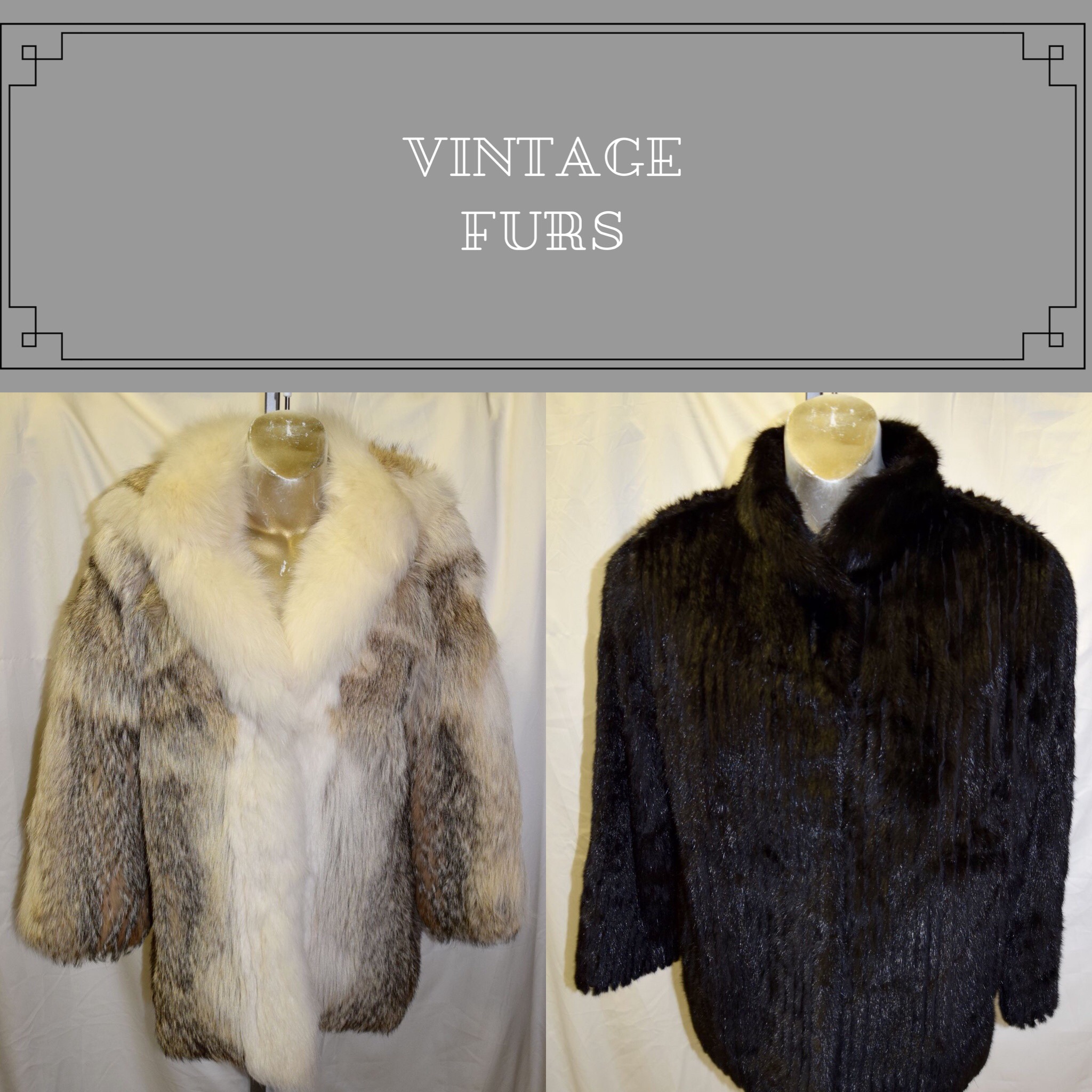 Vintage Furs