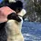 Thumbnail: Vintage black fox Fur Scarf with Head, Fox Fur