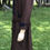 Thumbnail: Vintage Men’s Brown and Navy Blue Three Quarter Cut Formal Jacket