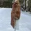 Thumbnail: Vintage Forest Furs Caramel Mink Winter Shawl, Wedding Shawl