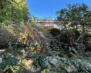 WeChat Image_20210415142825.jpg